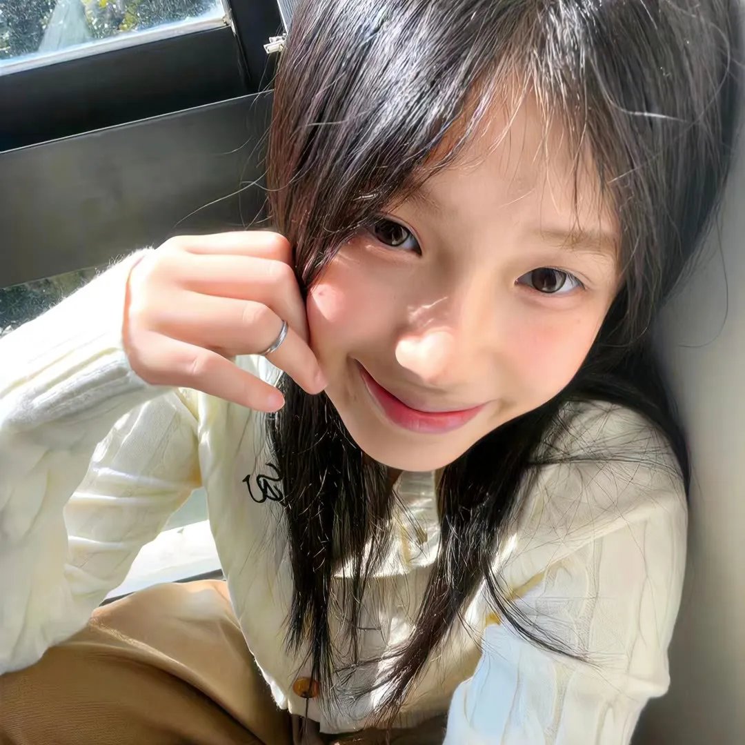 对一个不容怀疑的公民的调查